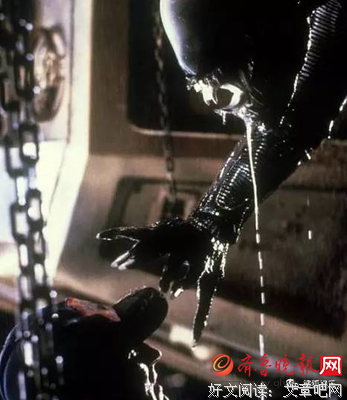 《异形》好看吗？经典影评10篇