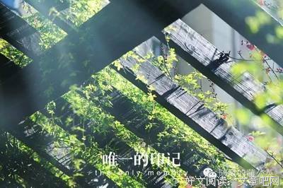 《突破瓶颈》读后感10篇