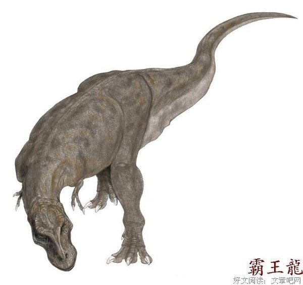 《时间不存在》读后感10篇