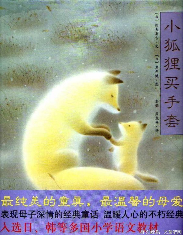 狐狸夜游记经典读后感10篇