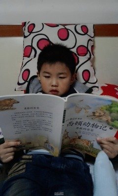 《哦！爸爸们》读后感10篇