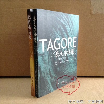 做自己的先知读后感10篇