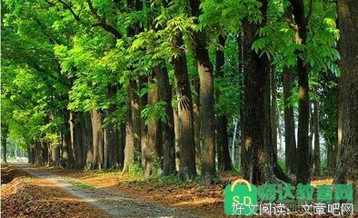《有些事女人不懂，一辈子就“完”了》读后感10篇