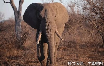 《血腥的谋杀》读后感精选10篇