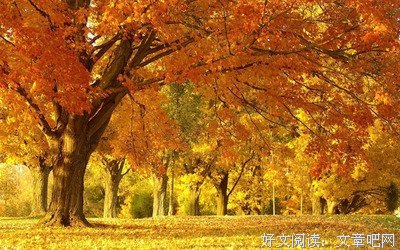 朗诵：秋的意，心的景，美到雍容