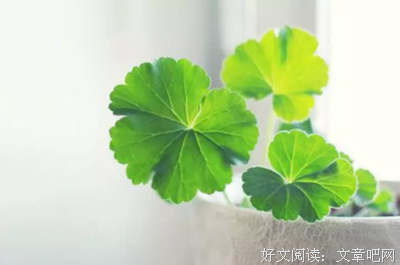 生命苦短，请善待自己