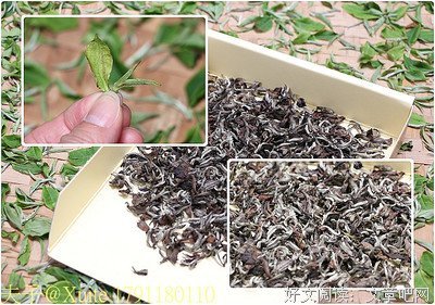 蜜果的优美句子