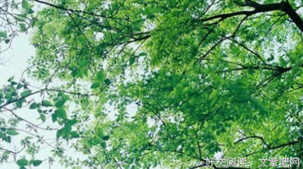 短句的优美句子