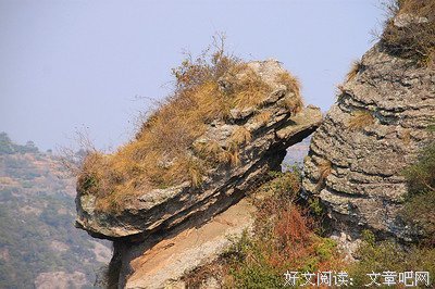 美的历程经典名句