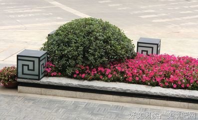 华韵名句欣赏