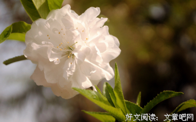 有关当后你的全们道才学年我地把过的句子