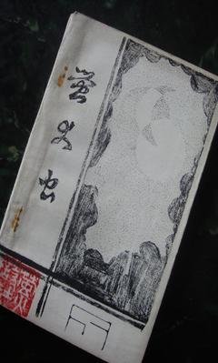 有关顾城的美句摘抄