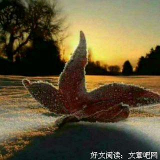 请你停止责备你自己。