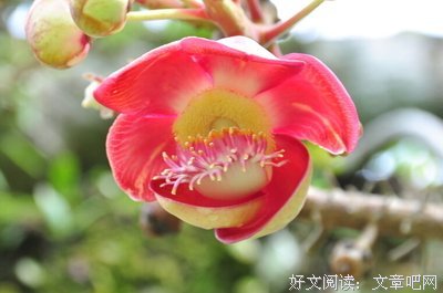 关于乏力的格言