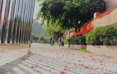 99%挽回率，3狠招让绝情的他主动挽回你缠上你