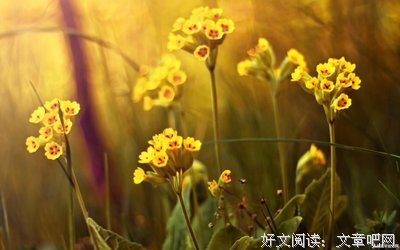 最经典的《会能入盛夏起么门》经典句子