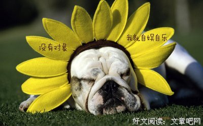 最经典的《雪骨》经典语句