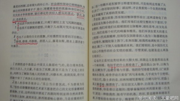 最经典的《掟上今日子的遗言书》语录摘抄