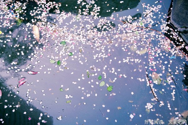 《春逝》观后感10篇