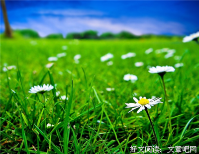 KYLOOE·忧郁的蜻蜓读后感10篇
