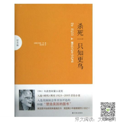 《杀死一只知更鸟》经典读后感10篇