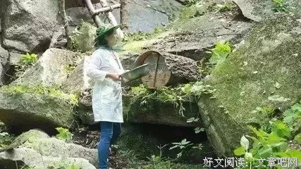 那个叫杨霞的女人，你在网上火了，所有人都在找你！！！