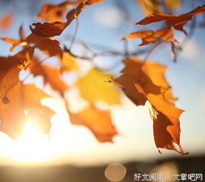有关远方的句子