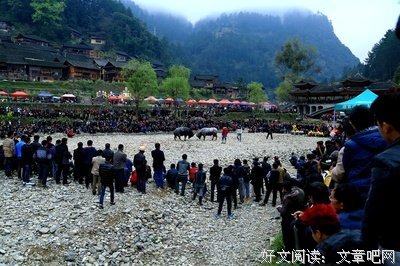 《生活》的句子