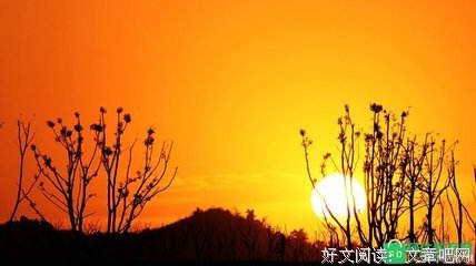 心事的优美句子