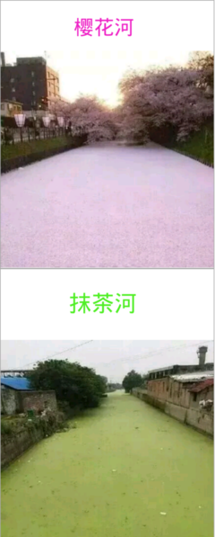 翁河的名言_关于翁河的名言