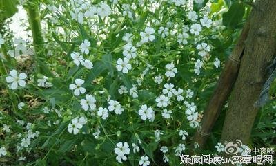 我的离开也是爱，你的离开是不爱。
