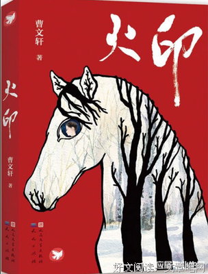 《碎片，令人怀念的1980年代》的读后感10篇