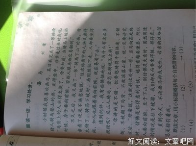 《画马百态》读后感10篇