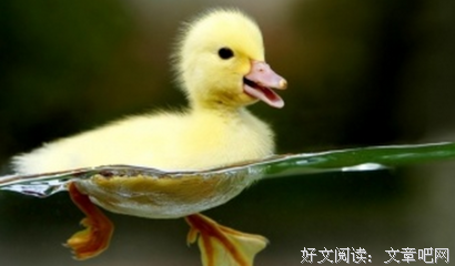 《凯特王妃：争来的幸福》读后感10篇