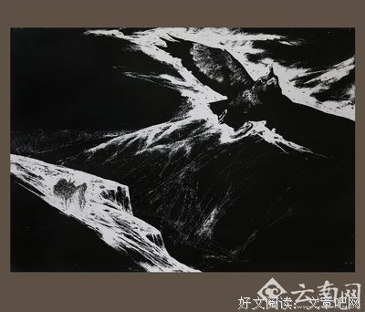 用最诗意的生活，去邂逅一场不期而遇的浪漫