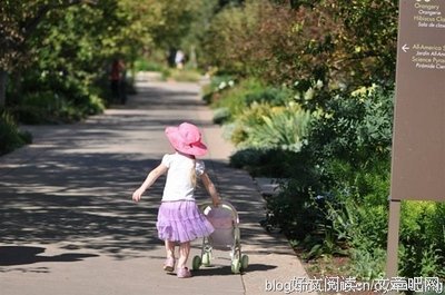 100个好故事|青草青，青草黄