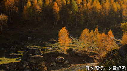 马道人：蜀山有剑仙，遗世而独立……