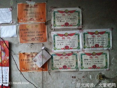 吾起了生将暖阳。句子大全