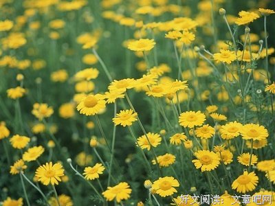 醍醐灌顶地不一样的优美句子