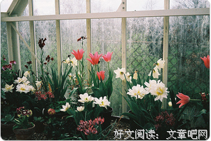 今天以后人生无数可能名句欣赏