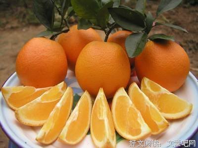 关于甜橙先生的优美句子