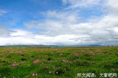 关于镇定自若的唯美语录