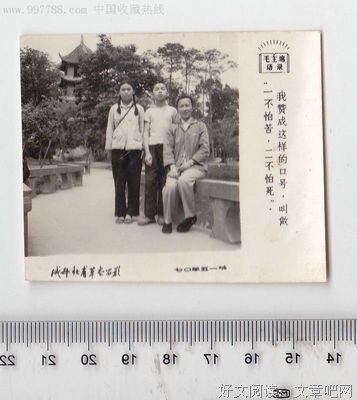 15条关于杜甫的经典语句