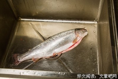 测一测 ，他是你的Mr.right么？你的真命天子到底在哪里