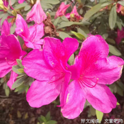 理财就是理生活的读后感10篇
