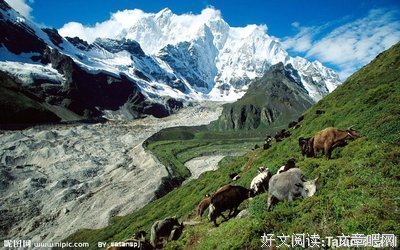章恰尔·超好看读后感10篇