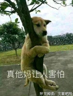 那个在西雅图偷飞机的年轻人，我终于理解了你