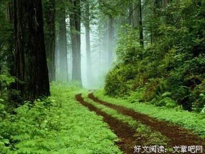 群处守住嘴，独处管住心