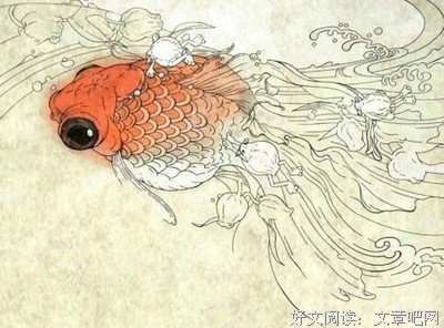 今天你转发锦鲤了吗？