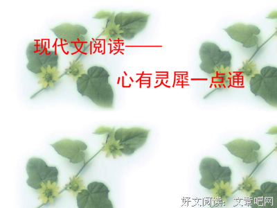 任心文想和金的句子